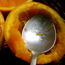 Oranges farcies